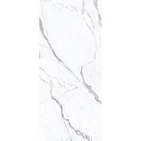 Vloer- en Wandtegel Energieker Ekxtreme 120x280 cm Glanzend Statuario Superiore (Prijs Per Tegel)