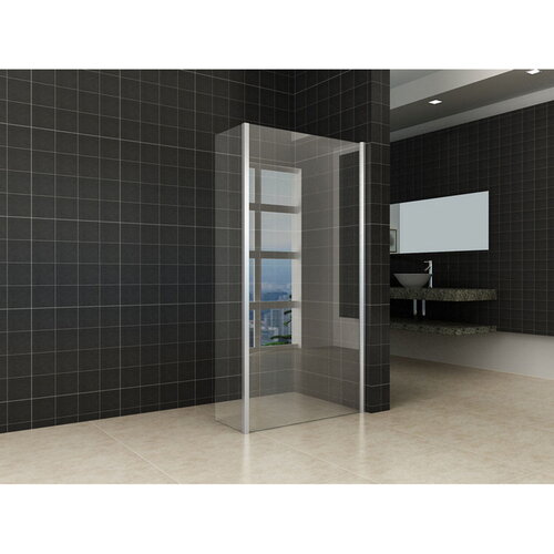 Wiesbaden eco-Combi Nano Inloopdouche + zijwand 1000x300 8mm 