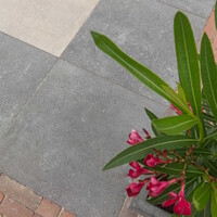 Ceramaxx Frescato Betonlook 60x60x2 cm 5411170927243 (Prijs Per M2)