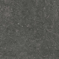 Ceramaxx Pietra Belgio Hardsteenlook 80x80x2 cm 5411170939444 (Prijs Per M2)