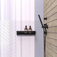 Doucherek Brauer Black Edition 40 Cm Mat Zwart