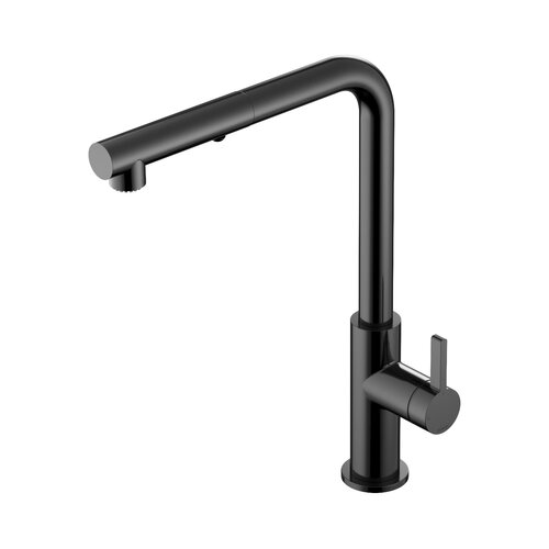 Keukenmengkraan Hotbath Ace Met Draaibare Uitloop En Uittrekbare Duo-spray Handdouche Gepolijst Zwart PVD 