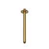 Hotbath Plafondbuis Hotbath Ace 30 cm Geborsteld Messing PVD