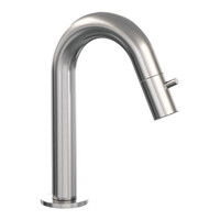 Opbouw Fonteinkraan Brauer Brushed Edition Met Gebogen Uitloop RVS Geborsteld PVD