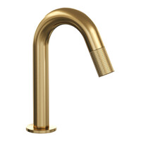 Opbouw Fonteinkraan Brauer Gold Carving Edition Met Gebogen Uitloop Goud Geborsteld PVD