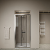 Boss & Wessing Pendeldeur BWS Arema 100x190 cm Profiel Chroom