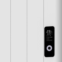 Elektrische Radiator BWS Boss Met Wifi 2000W 160x54.4 cm Wit