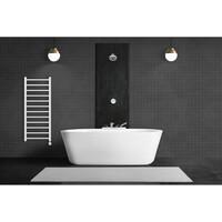 Elektrische Handdoekradiator BWS Bess 413W 120x50 cm Wit