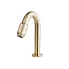 Boss & Wessing Luxe Toiletkraan BWS Mark 1/2'' Geborsteld Messing Goud