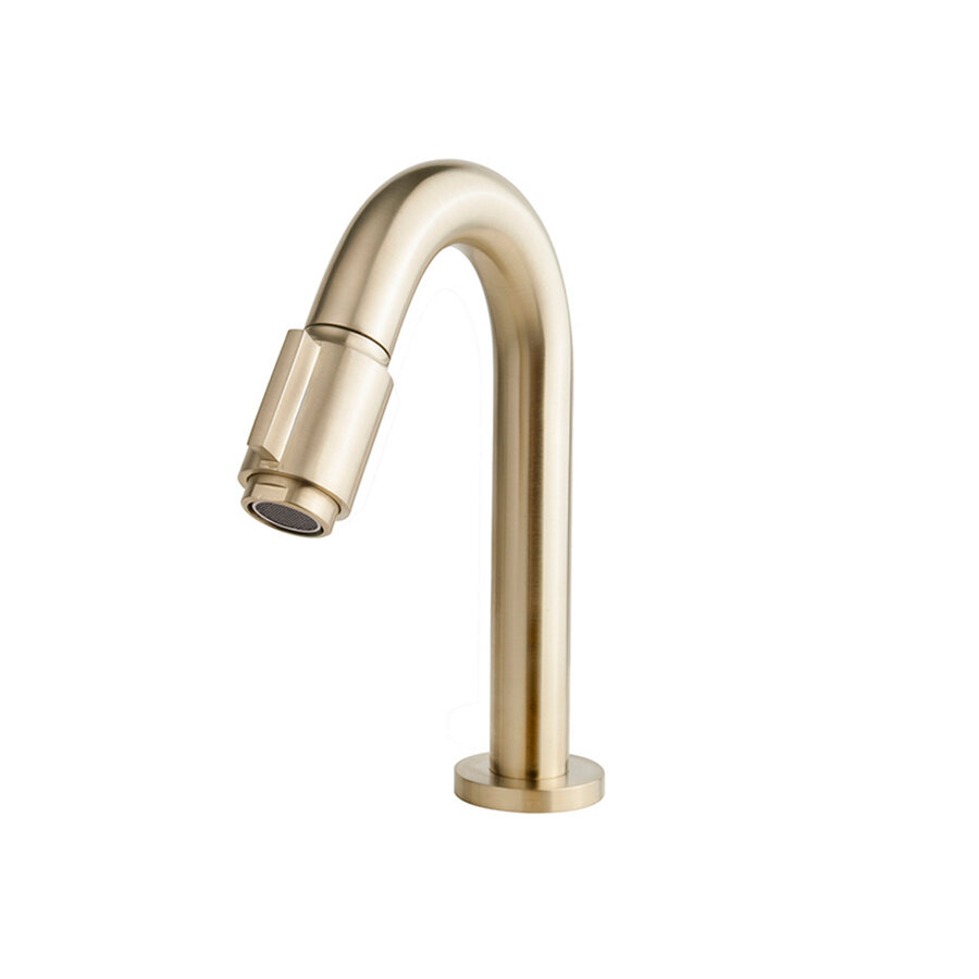 Luxe Toiletkraan BWS Mark 1/2'' Geborsteld Messing Goud
