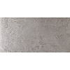 Douglas & Jones Wandtegel Douglas Jones Marbles 30X60 cm Mat Plata (Prijs per 4 Stuks)