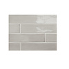 Stardos Wandtegel Fayenza Grey 6x24.6 cm (Prijs per M2)