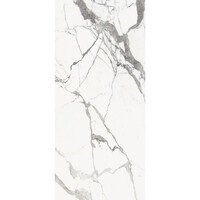 Vloertegel Douglas & Jones 120x280 cm Magnum Glans Or (Prijs Per Tegel)