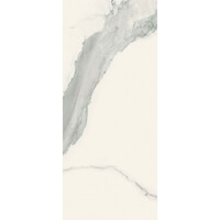 Vloertegel Douglas & Jones 120x280 cm Magnum Glans Statuario (Prijs Per Tegel)