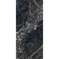 Vloertegel Douglas & Jones 120x280 cm Magnum Glans Ombre Caravage (Prijs Per Tegel)