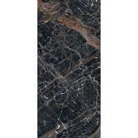 Vloertegel Douglas & Jones 120x280 cm Magnum Glans Ombre Caravage (Prijs Per Tegel)