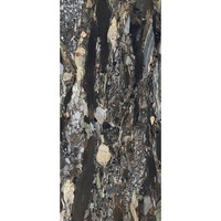 Vloertegel Douglas & Jones 120x280 cm Magnum Glans Quatre Saisons (Prijs Per Tegel)