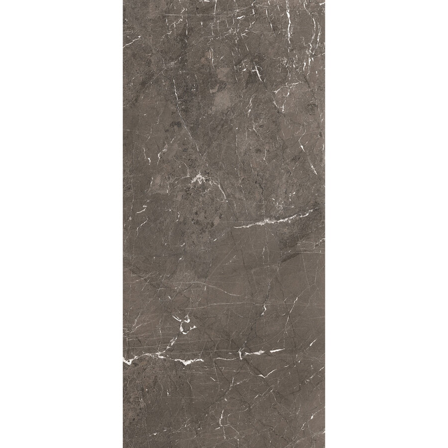 Vloertegel Douglas & Jones 120x280 cm Magnum Glans Brown (Prijs Per Tegel)