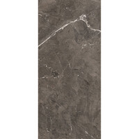 Vloertegel Douglas & Jones 120x280 cm Magnum Glans Brown (Prijs Per Tegel)