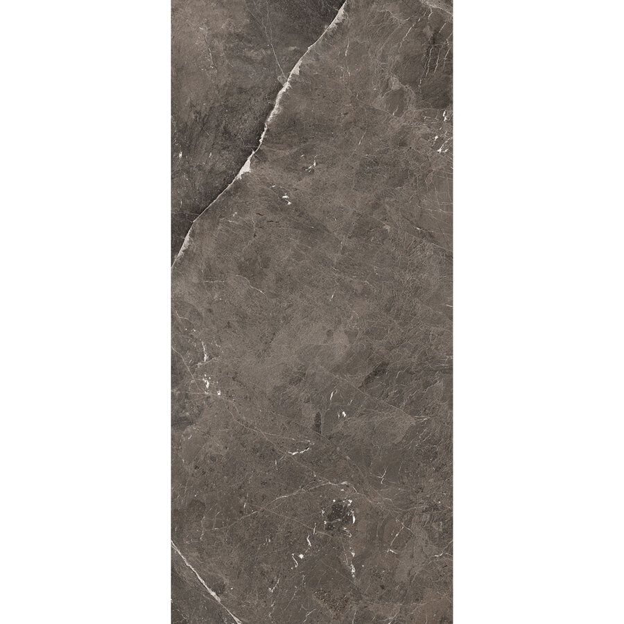 Vloertegel Douglas & Jones 120x280 cm Magnum Glans Brown (Prijs Per Tegel)