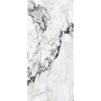 Vloertegel Douglas & Jones 120x280 cm Magnum Glans Calacatta Altissimo (Prijs Per Tegel)