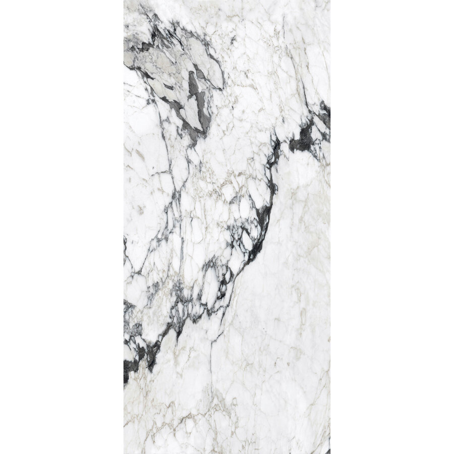 Vloertegel Douglas & Jones 120x280 cm Magnum Glans Calacatta Altissimo (Prijs Per Tegel)