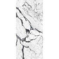 Vloertegel Douglas & Jones 120x280 cm Magnum Glans Calacatta Altissimo (Prijs Per Tegel)