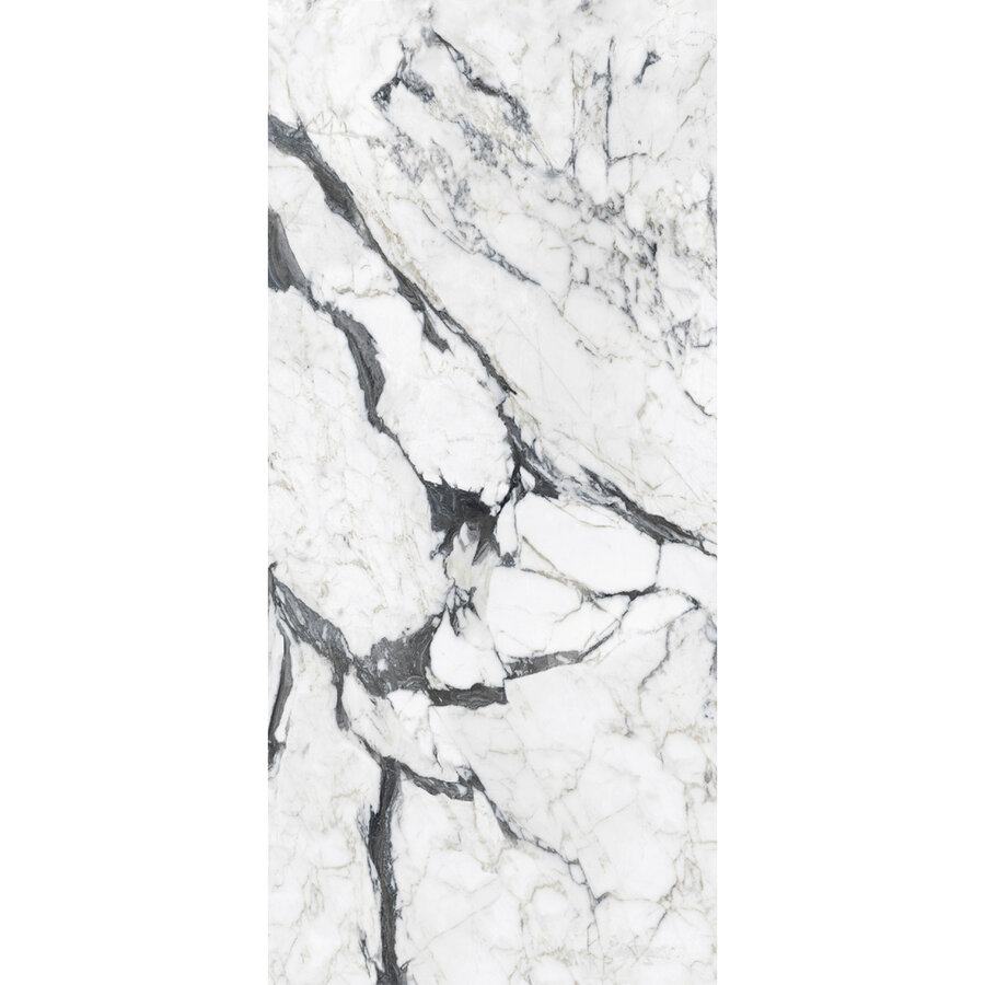 Vloertegel Douglas & Jones 120x280 cm Magnum Glans Calacatta Altissimo (Prijs Per Tegel)