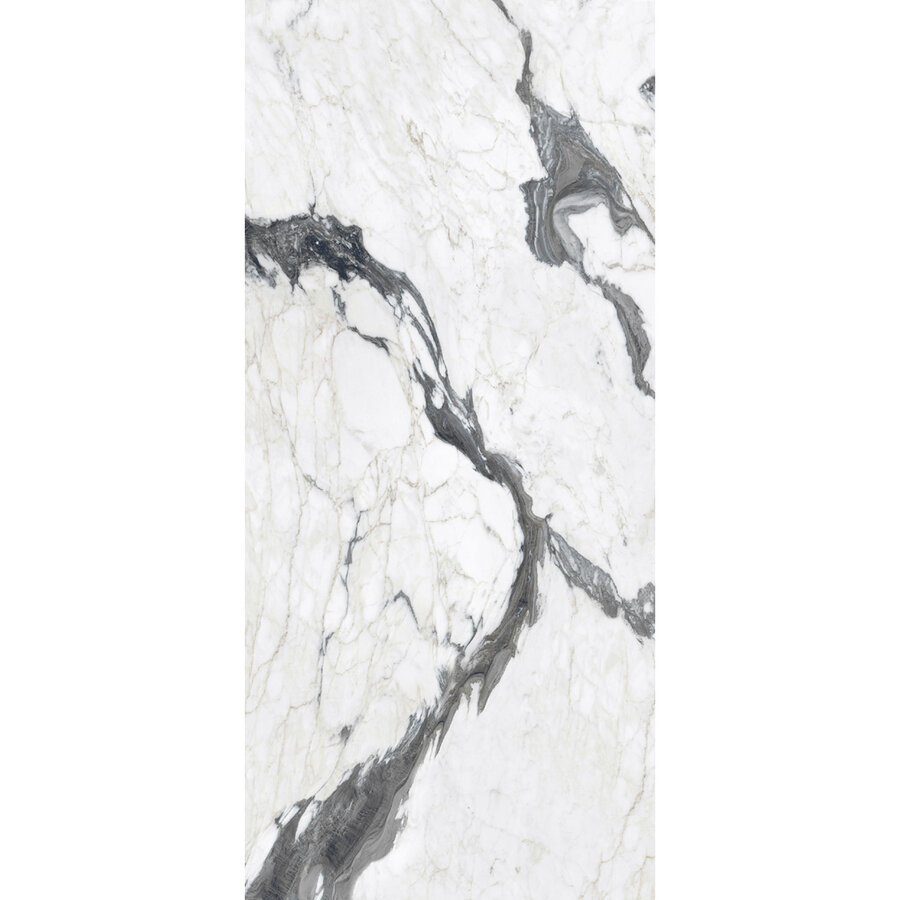 Vloertegel Douglas & Jones 120x280 cm Magnum Glans Calacatta Altissimo (Prijs Per Tegel)