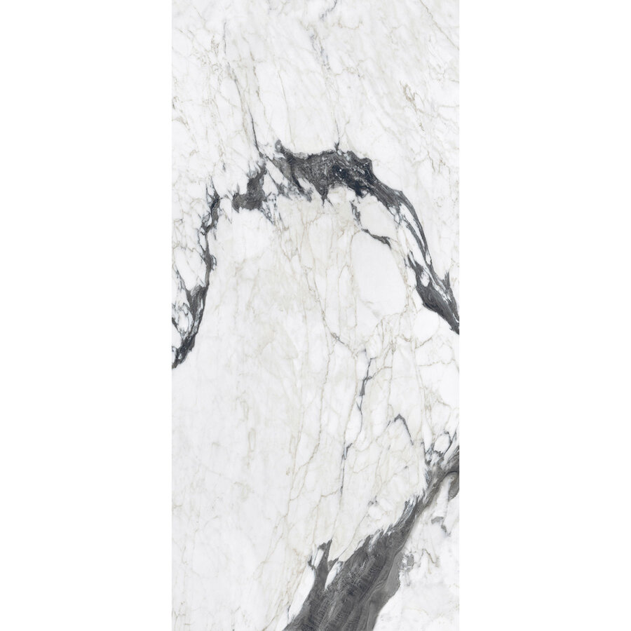 Vloertegel Douglas & Jones 120x280 cm Magnum Glans Calacatta Altissimo (Prijs Per Tegel)
