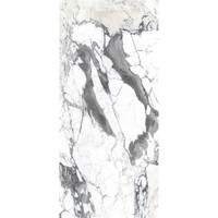 Vloertegel Douglas & Jones 120x280 cm Magnum Glans Calacatta Altissimo (Prijs Per Tegel)