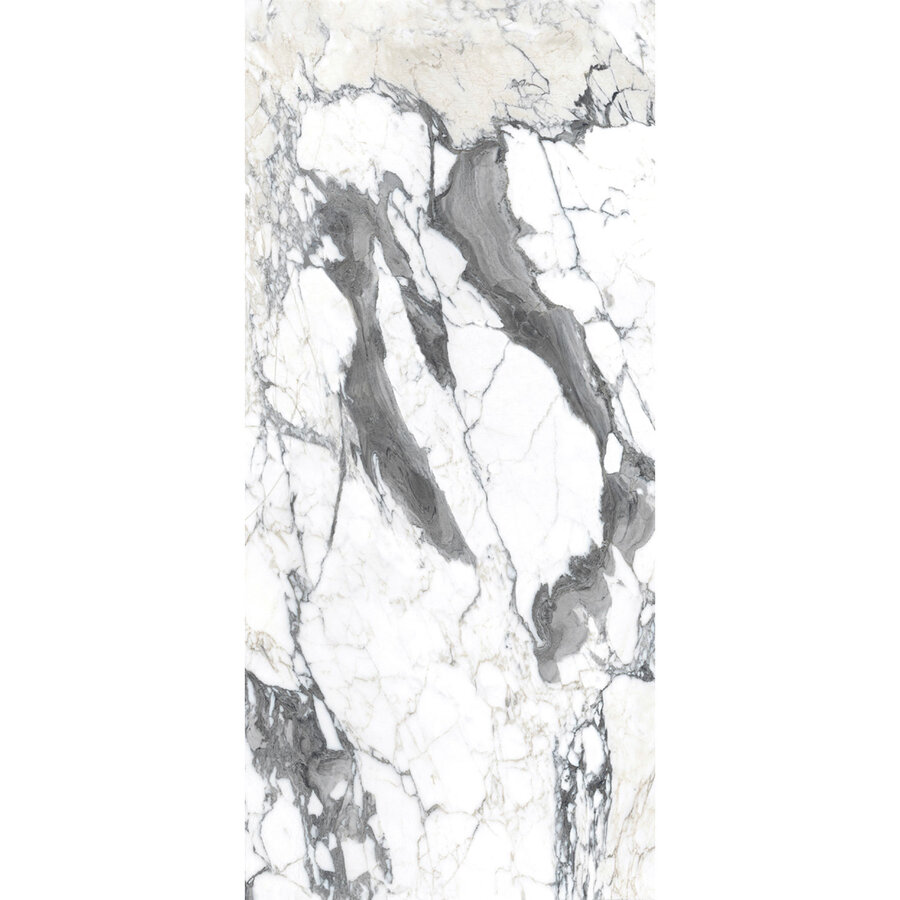 Vloertegel Douglas & Jones 120x280 cm Magnum Glans Calacatta Altissimo (Prijs Per Tegel)