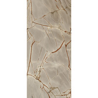 Vloertegel Douglas & Jones 120x280 cm Magnum Glans Rainforest (Prijs Per Tegel)