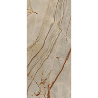 Vloertegel Douglas & Jones 120x280 cm Magnum Glans Rainforest (Prijs Per Tegel)