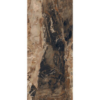 Vloertegel Douglas & Jones 120x280 cm Magnum Glans Jaspe Rouge (Prijs Per Tegel)