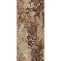 Vloertegel Douglas & Jones 120x280 cm Magnum Glans Jaspe Rouge (Prijs Per Tegel)