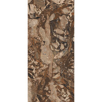 Vloertegel Douglas & Jones 120x280 cm Magnum Glans Jaspe Rouge (Prijs Per Tegel)