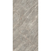 Douglas & Jones Vloertegel Douglas & Jones 120x280 cm Magnum Glans Gris (Prijs Per Tegel)