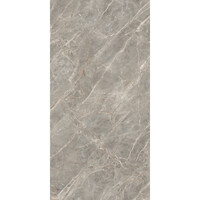 Vloertegel Douglas & Jones 120x280 cm Magnum Glans Gris (Prijs Per Tegel)