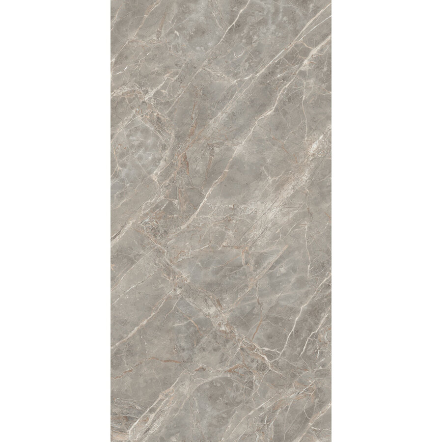 Vloertegel Douglas & Jones 120x280 cm Magnum Glans Gris (Prijs Per Tegel)