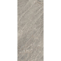 Vloertegel Douglas & Jones 120x280 cm Magnum Glans Gris (Prijs Per Tegel)
