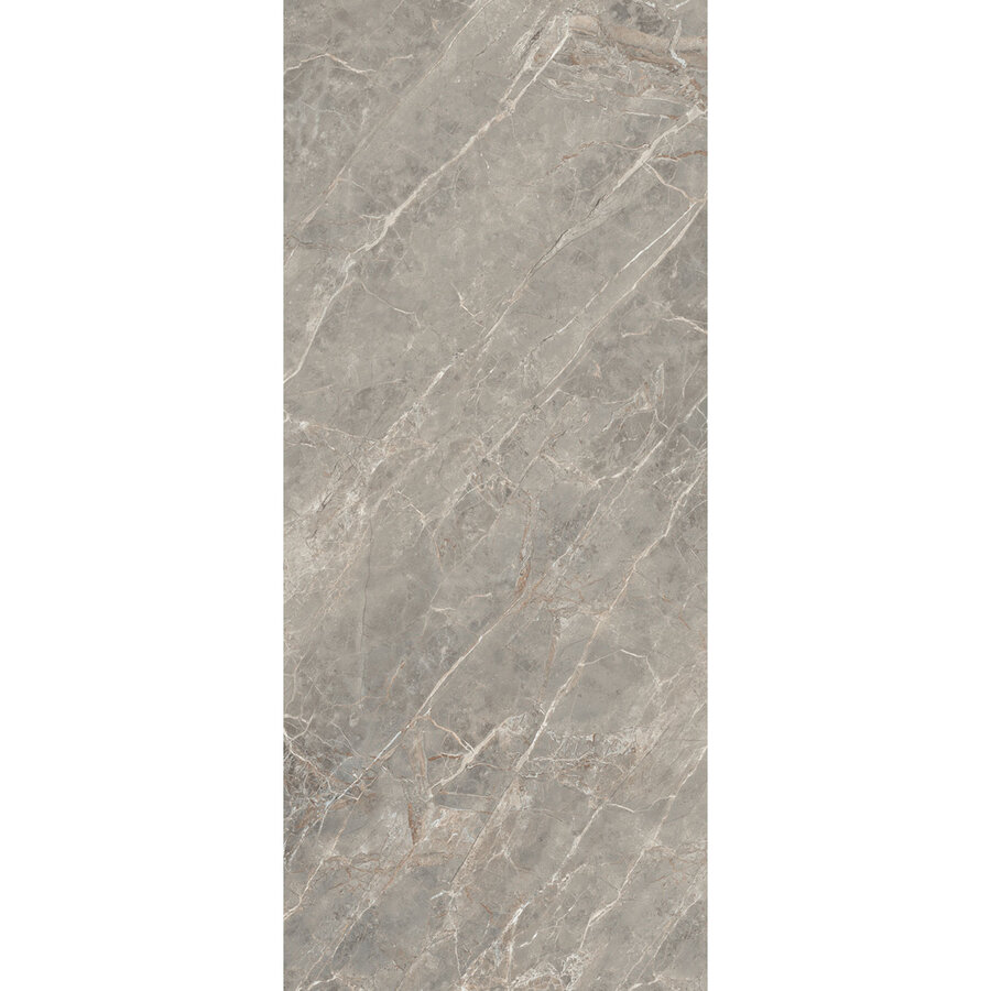 Vloertegel Douglas & Jones 120x280 cm Magnum Glans Gris (Prijs Per Tegel)