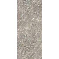 Vloertegel Douglas & Jones 120x280 cm Magnum Glans Gris (Prijs Per Tegel)