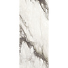 Douglas & Jones Vloertegel Douglas & Jones 120x280 cm Magnum Glans Renoir (Prijs Per Tegel)