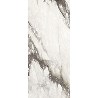 Vloertegel Douglas & Jones 120x280 cm Magnum Glans Renoir (Prijs Per Tegel)
