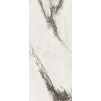 Vloertegel Douglas & Jones 120x280 cm Magnum Glans Renoir (Prijs Per Tegel)