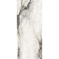 Vloertegel Douglas & Jones 120x280 cm Magnum Glans Renoir (Prijs Per Tegel)