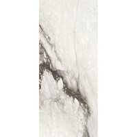 Vloertegel Douglas & Jones 120x280 cm Magnum Glans Renoir (Prijs Per Tegel)