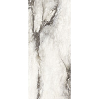 Vloertegel Douglas & Jones 120x280 cm Magnum Glans Renoir (Prijs Per Tegel)