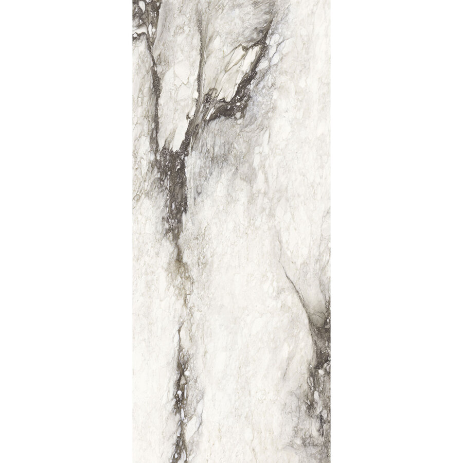 Vloertegel Douglas & Jones 120x280 cm Magnum Glans Renoir (Prijs Per Tegel)